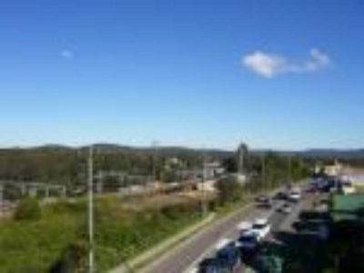 Morisset