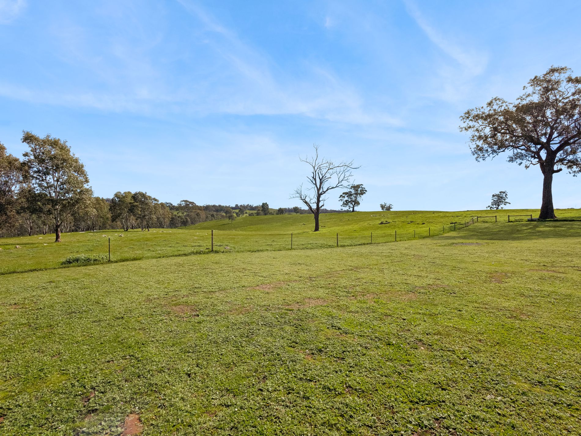 54 Thomas Lane, Heathcote