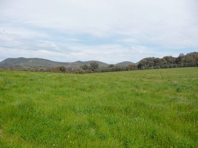 Pilot View South Beechworth-Chiltern Road, Chiltern