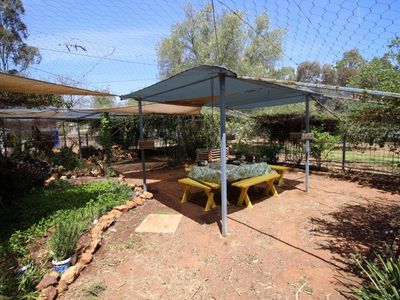 9 Lachlan Street, Boree Creek