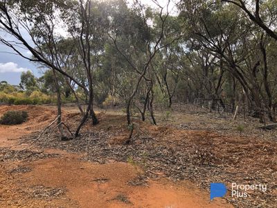 60D Mt. Kerang Road, Buckrabanyule