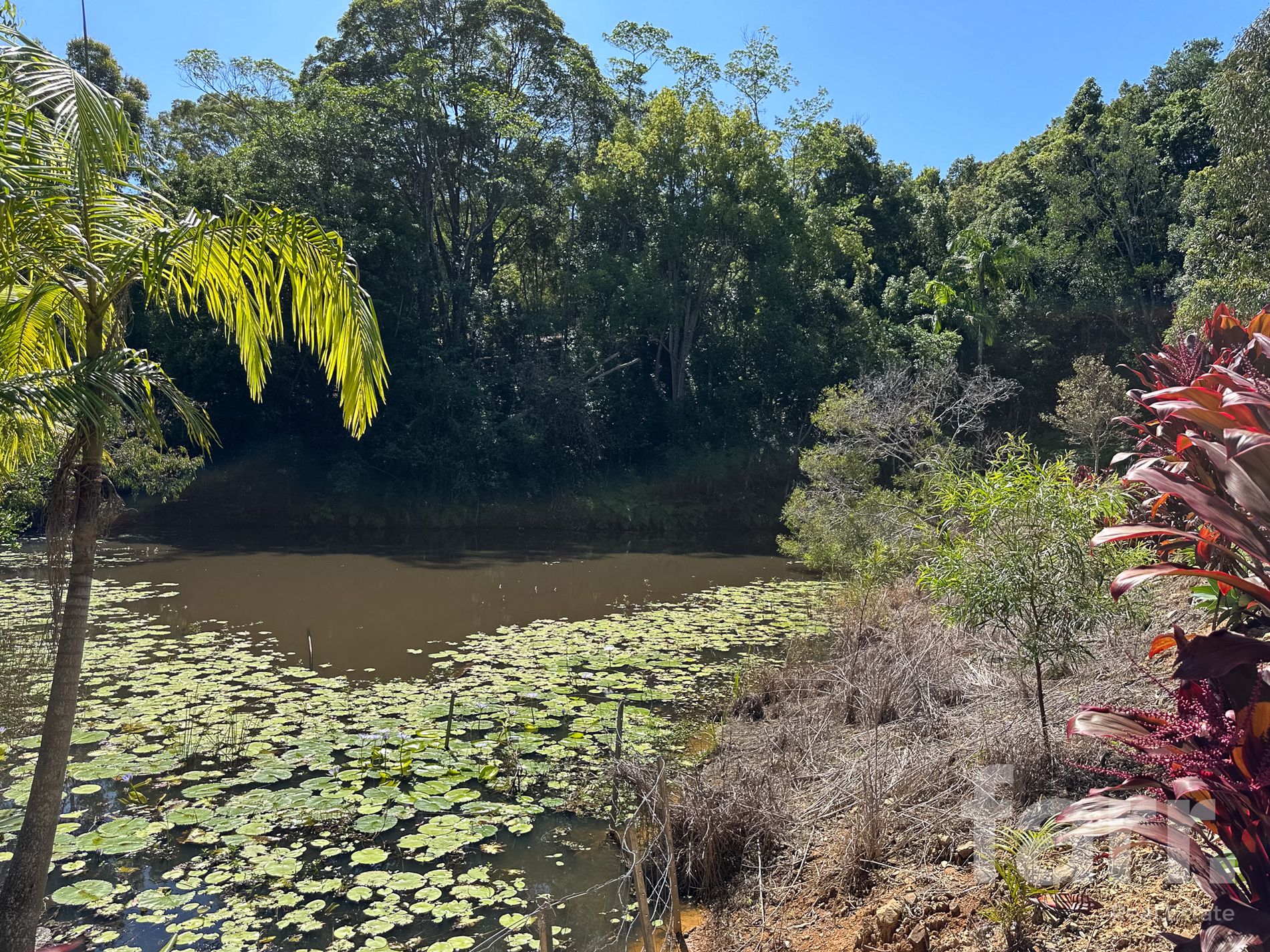 43 Bopple Nut Court, Cobaki