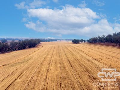 1036 Rob Roy Road, Inverell