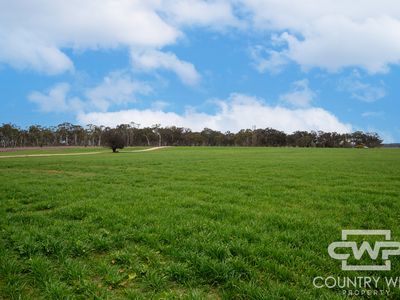 Lot Plain View, 916 Emmaville Road, Glen Innes