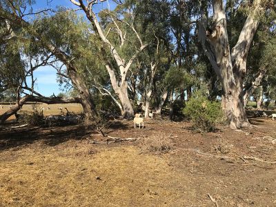 32 Aherns Road, Myall