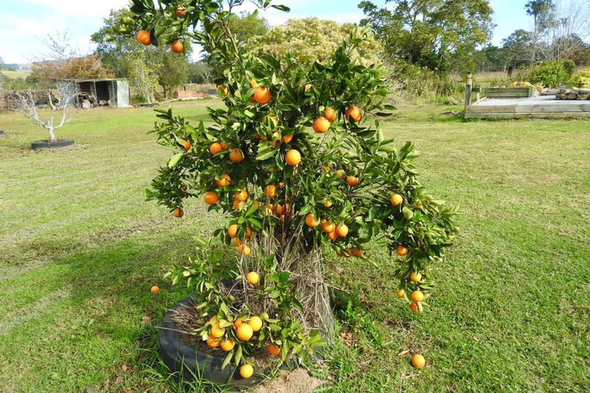 105 Wang Wauk Road, Nabiac