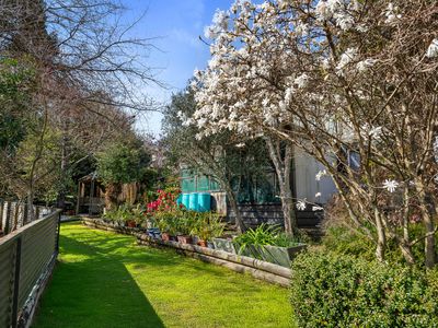 52 Stansell Avenue, Tahunanui
