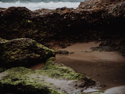 3 Montefiore Parkway, Catherine Hill Bay