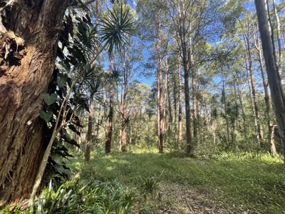 489 Davis Road, Jiggi