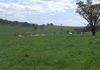 Lot 4 Reyfield Drive, Orange