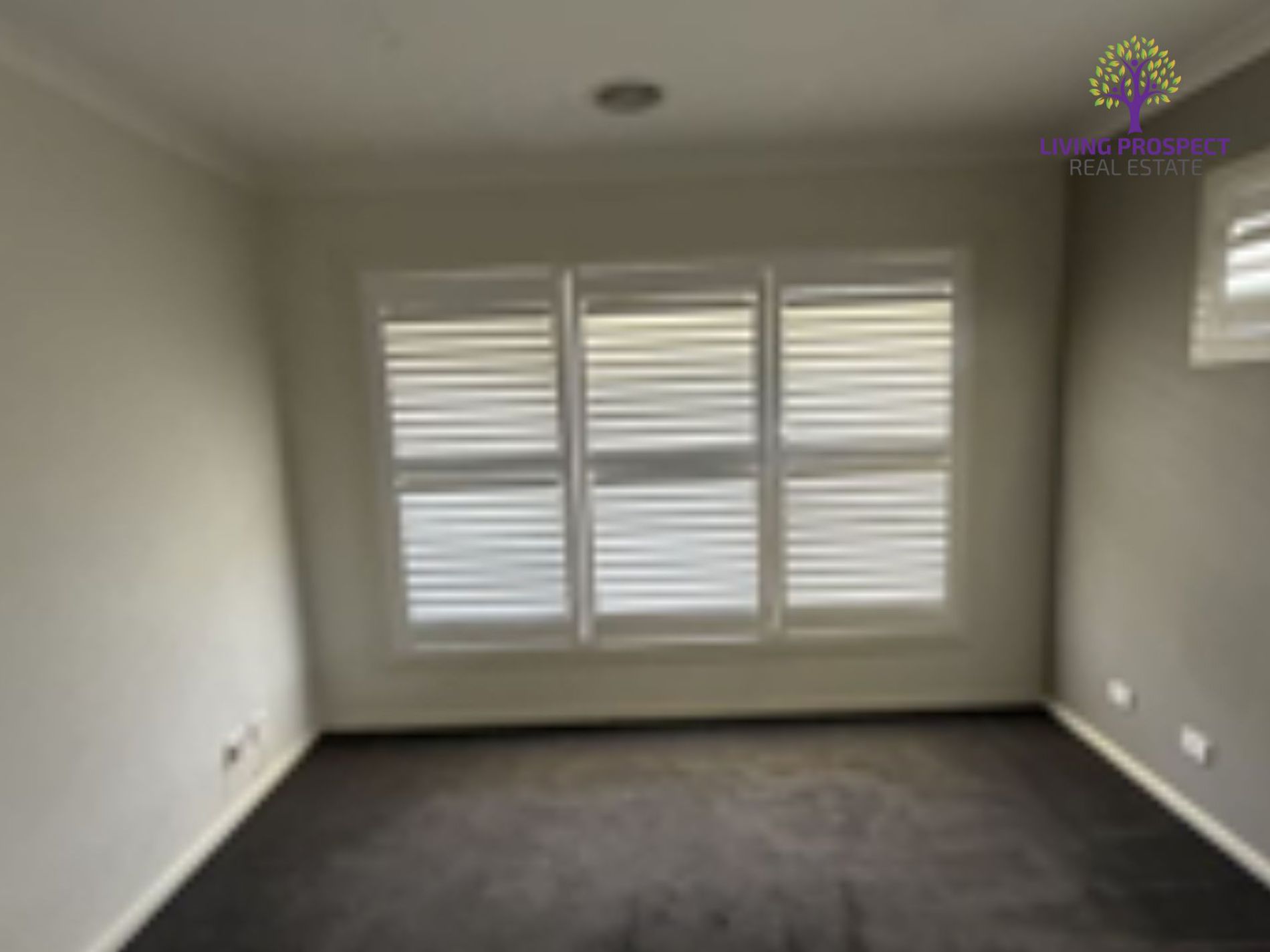 8 Golf View Street, St Leonards