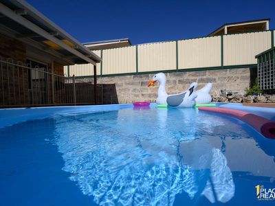 6 Cockatoo Cl, Singleton