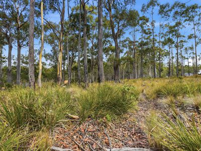 18 Little Spit Road, Lake Leake