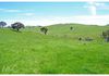 110 Offner Road, Borenore