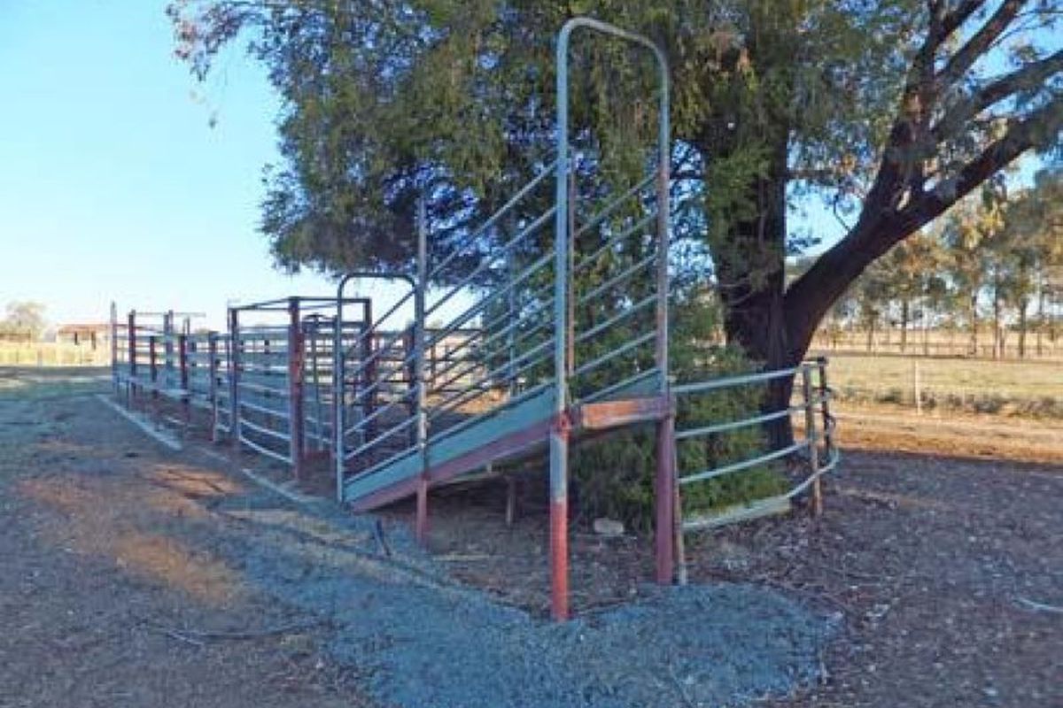 Trevaskis Road, Kyabram