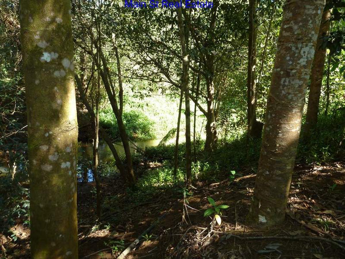 Lake Barrine Road, Malanda