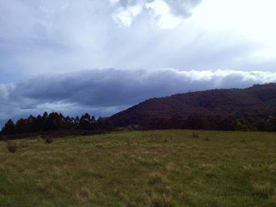 Lot 2 Twin Rivers Lane, Grove