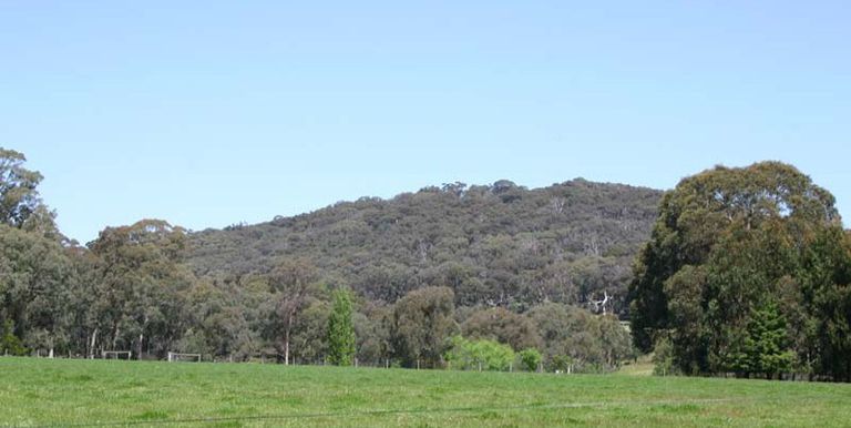 1621 Harrys Creek Road, Strathbogie