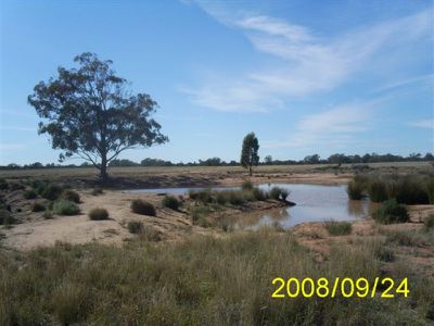 'Palmdale' 208R Mogriguy Road, Eumungerie