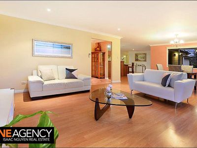 1117 South Pine Rd, Arana Hills