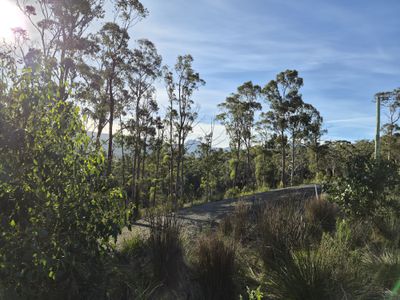 77 Grovenor Rise, Grove