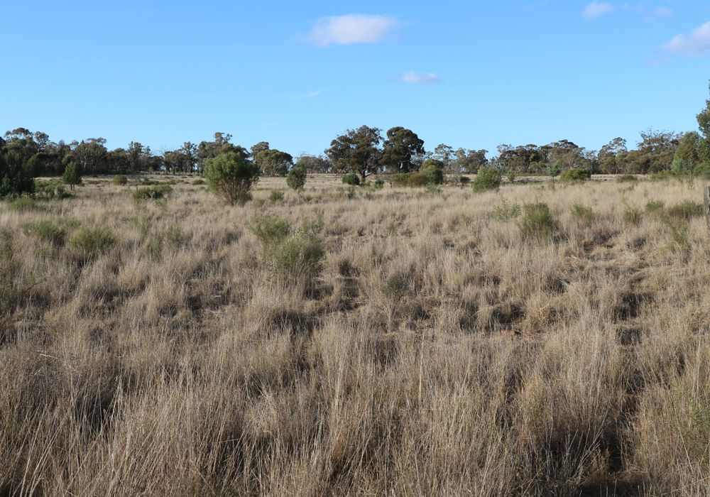 Back Trundle Road, Parkes