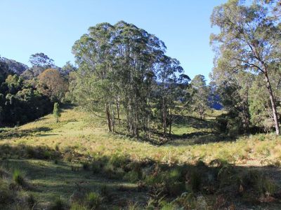 119E Mackays Road, Kangaroo Valley