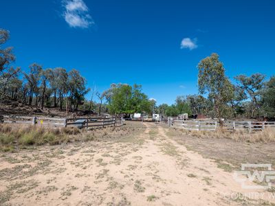 1043 Wallangra Road, Wallangra