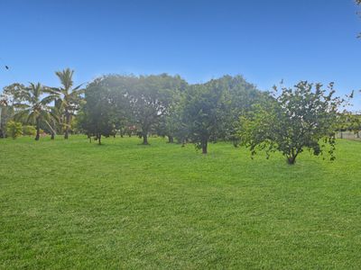 645 ELLERBECK ROAD, Carruchan