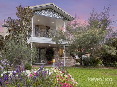 4 Hoya Court, Annandale