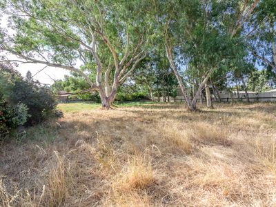 4 Levity Cove, Hilbert