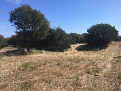 106 Maxwell Road, Fingal