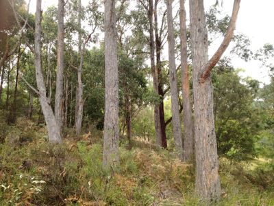 Lot 1 Lanes Road, Glen Huon