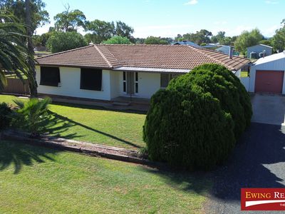 20 PARNELL STREET, Curlewis