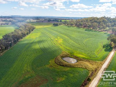 1036 Rob Roy Road, Inverell