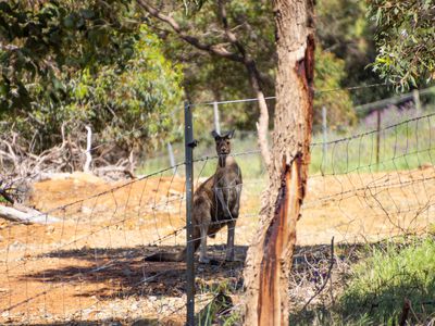 852 Campersic Road, Brigadoon