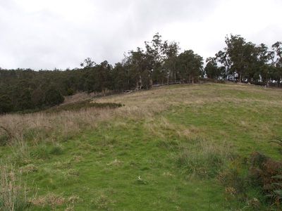47 Allens Road, Grove