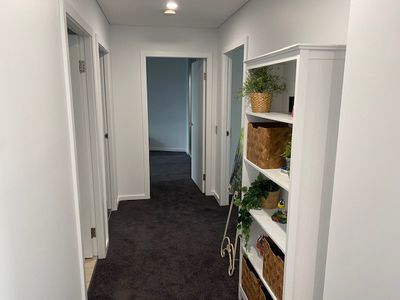 7 / 313 Crown Street, Wollongong