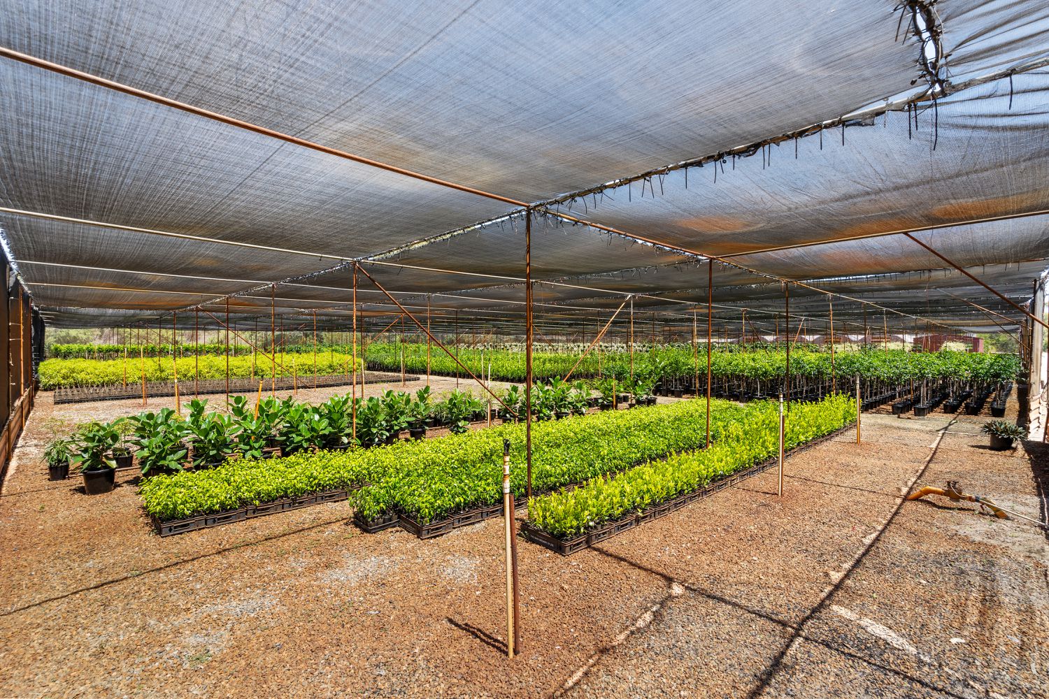 37 Landgren Road, Casuarina