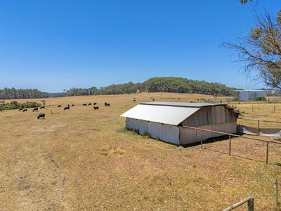 202 Dingo Flat Road, Tingledale