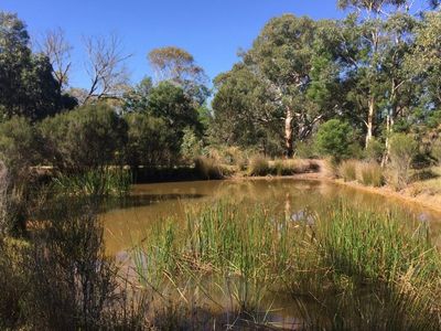 243 Jacquet Road, Braidwood