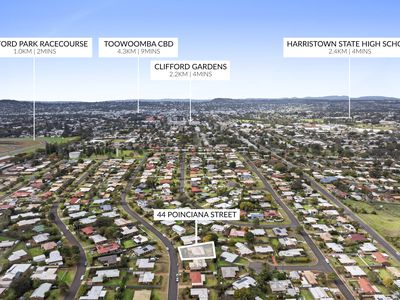 44 Poinciana Street, Newtown
