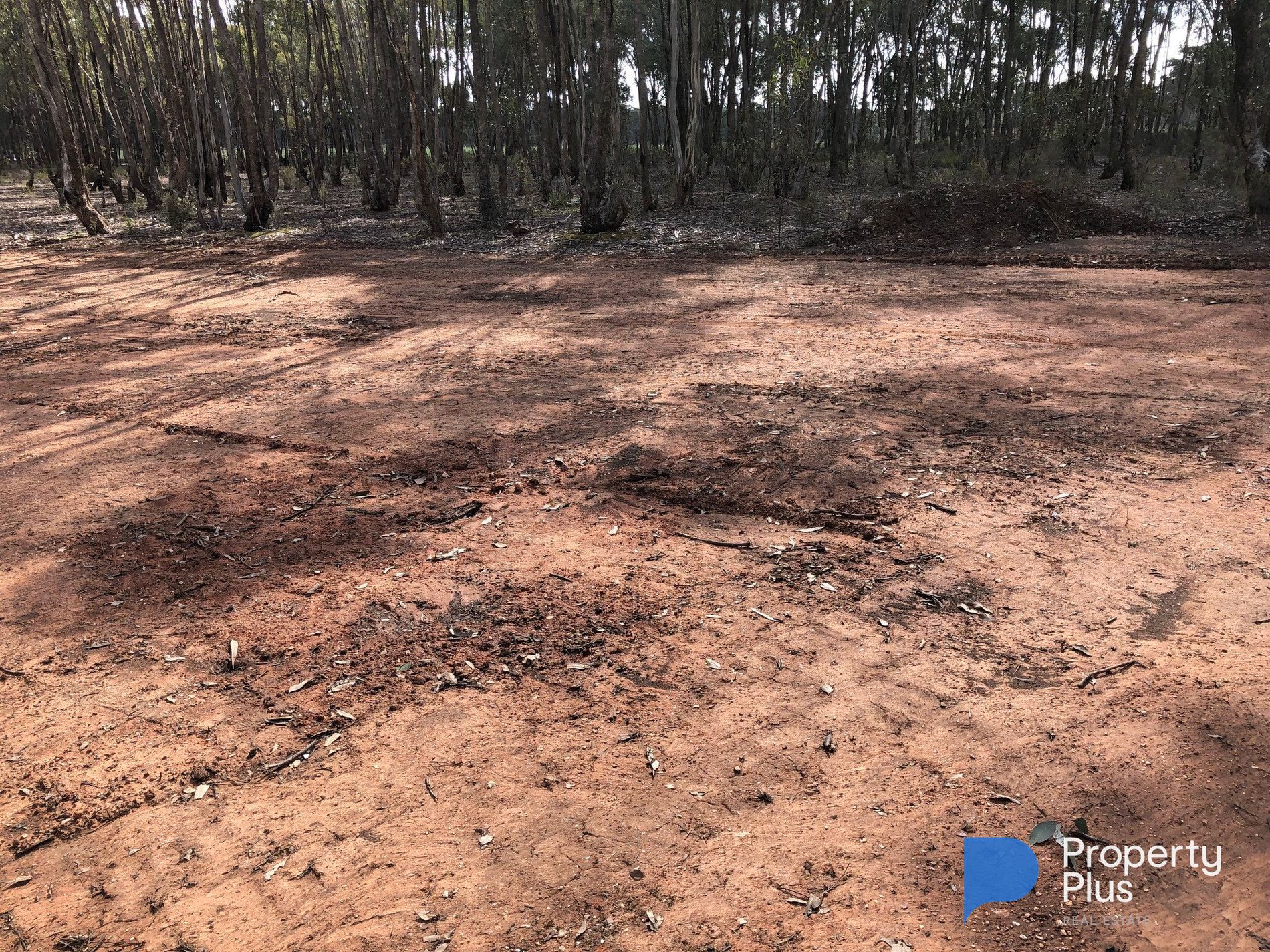 59 Palmer Road, Simson