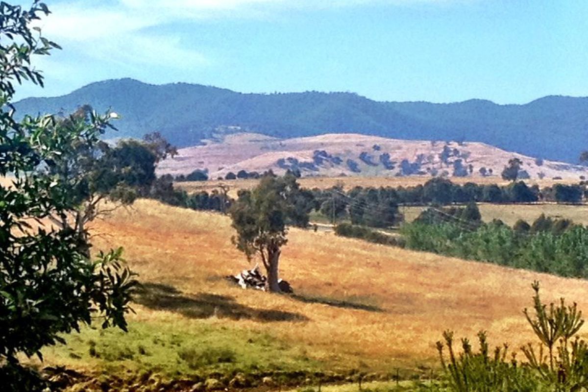 1305 Mount Buller Road, Merrijig