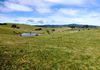 523 Griffin Road, Orange