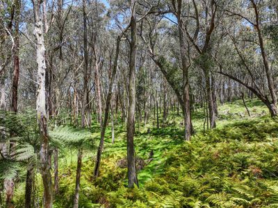 12 Bluebell Road, Braidwood