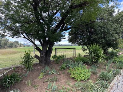 Bradview / 1009 Warrumbungles Way, Coolah