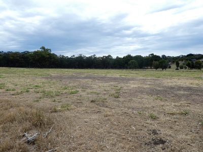 18 Bush Pea Dr, Seymour