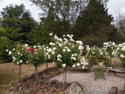 19 Benders Road, Huonville