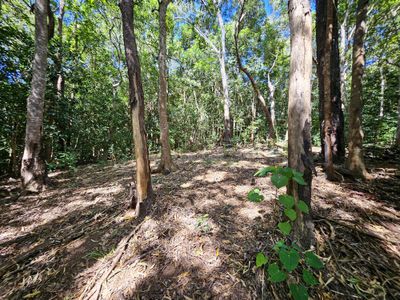 43 Mulligan Highway, Cooktown